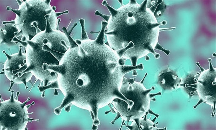 nCoV là chủng mới nhất trong họ virus corona. Ảnh: Japan Times.